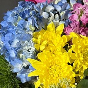 Meet your Posher, Kori